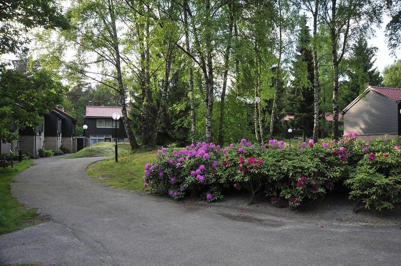 Fletcher Hotel Restaurant De Wipselberg-Veluwe Beekbergen Exteriér fotografie
